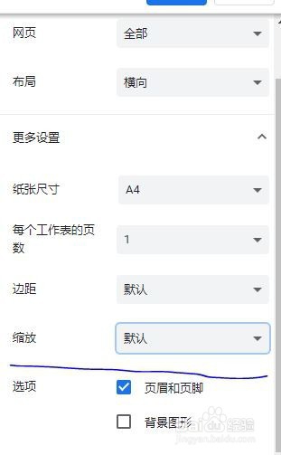 Google Chrome ~设置打印当前网页的边距