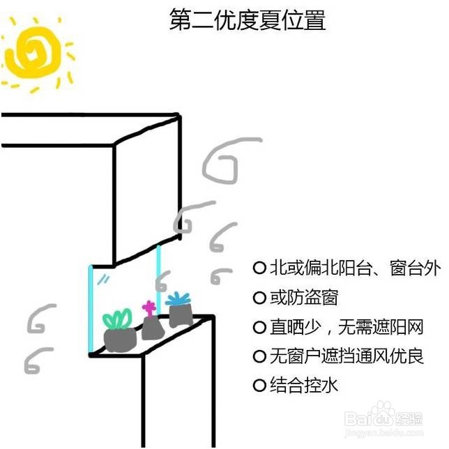 炎炎夏日，如何让你的多肉植物安然度夏!