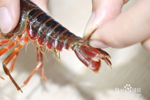 潜江油焖大虾的做法?