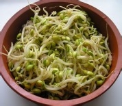 川菜麻辣水煮鱼的做法