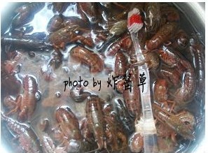 甜蒜肉丁烧茄龙