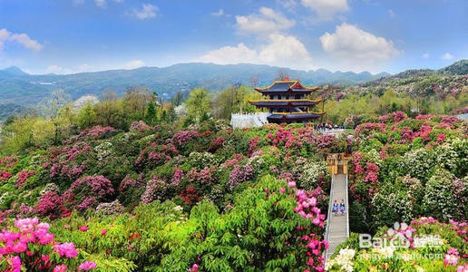 贵州毕节旅游景点攻略