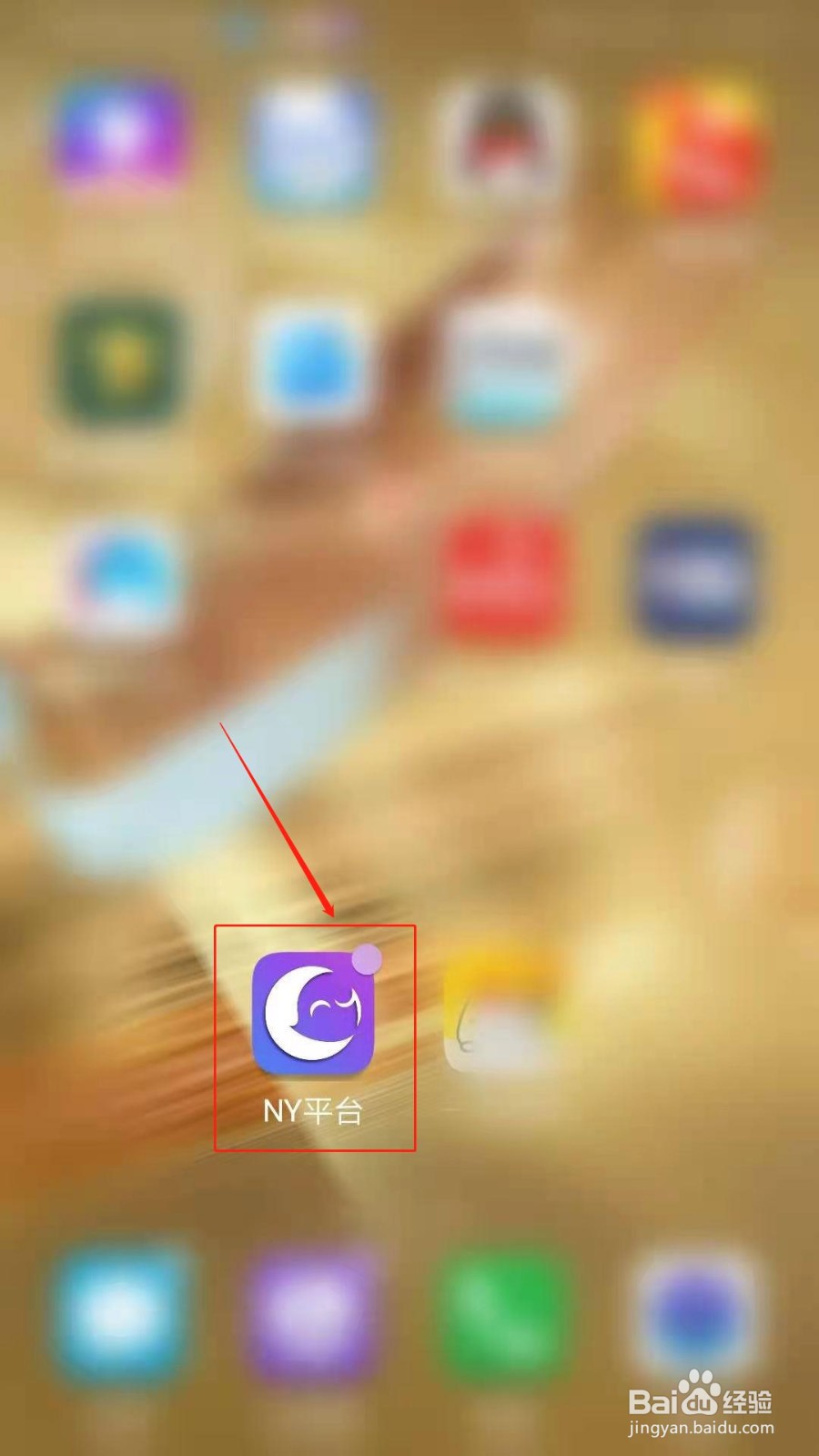 NY平台APP怎么修改密码