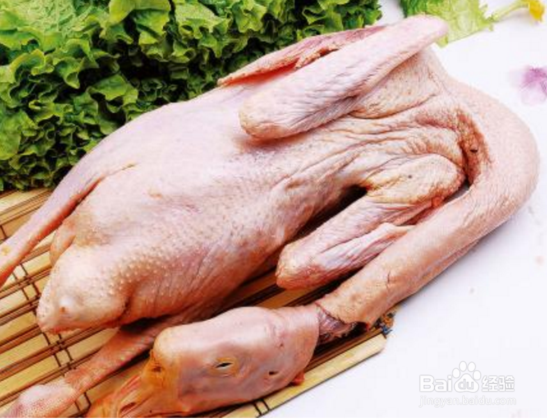 鹅肉的禁忌人群