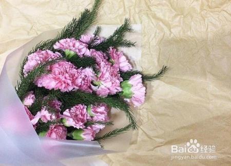 买回来的康乃馨,这样一处理,花期延长一个星期!