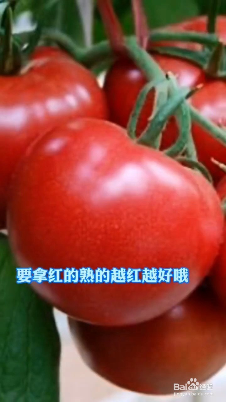 如何挑选西红柿