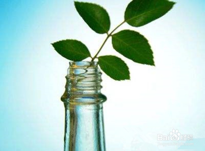 如何区别与使用香水与花露水