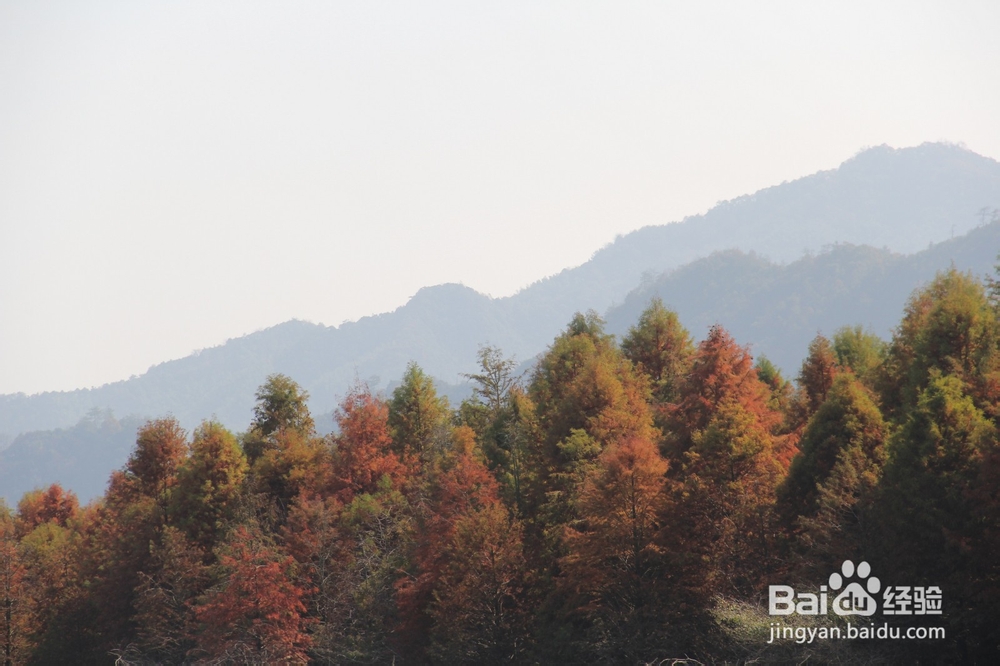 皖南川藏线、国道S218线路4天自驾游