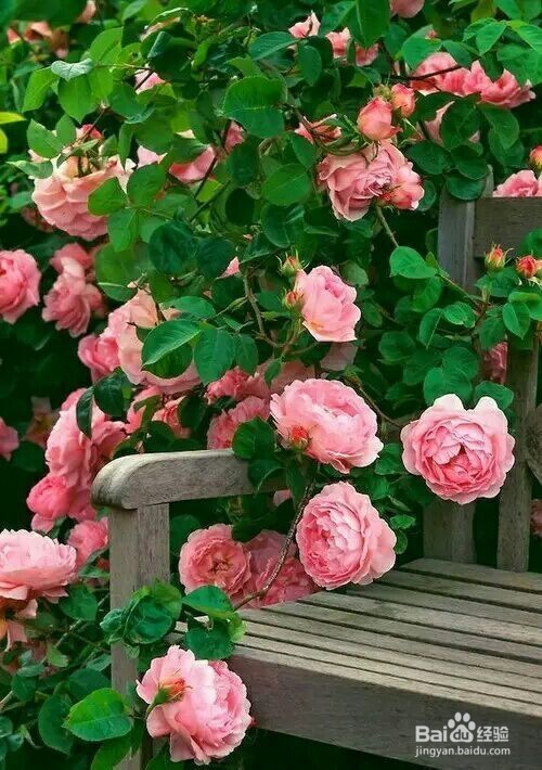 蔬菜怎么保存不容易坏