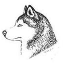 哈士奇的标准是什么