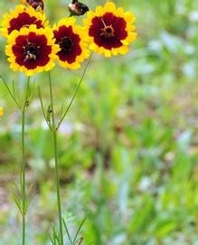 监理施工要点48