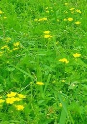 监理施工要点46