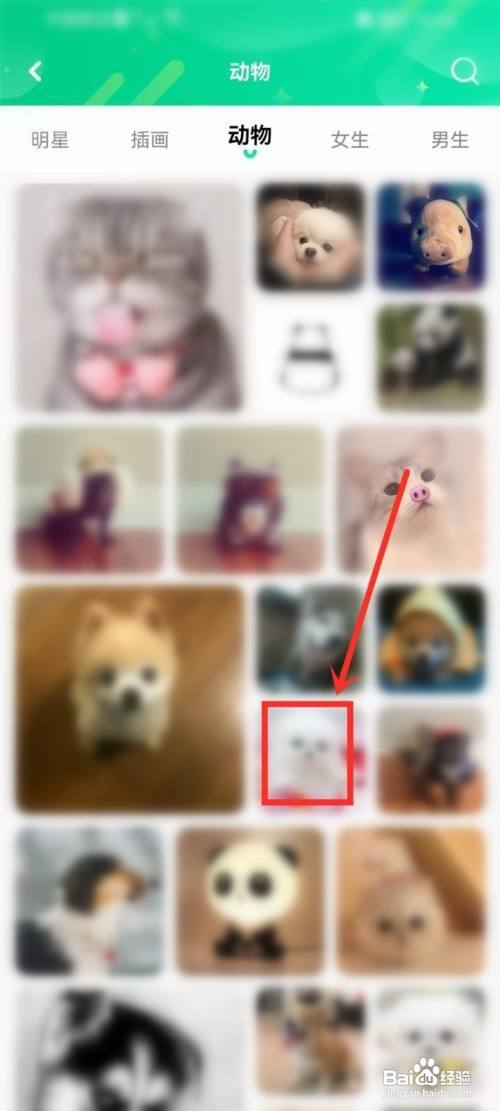 哈屏壁纸头像图片如何下载?