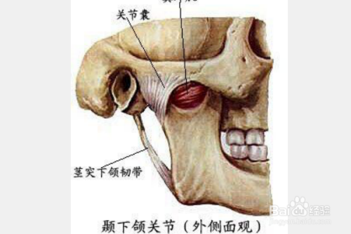 怎样自我处理下巴脱臼