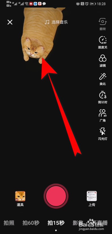 抖音AR猫特效在哪里 抖音AR猫特效怎么拍