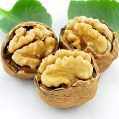 有哪些健脑的食物呢