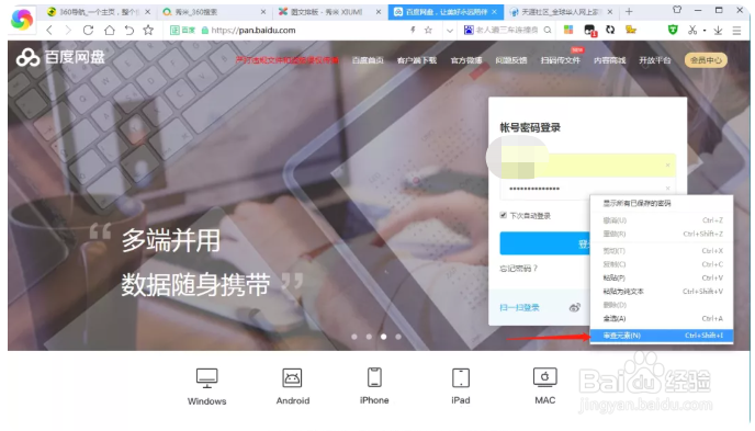 显示网页上隐藏的密码