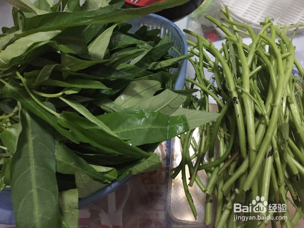 家常菜系素炒空心菜杆