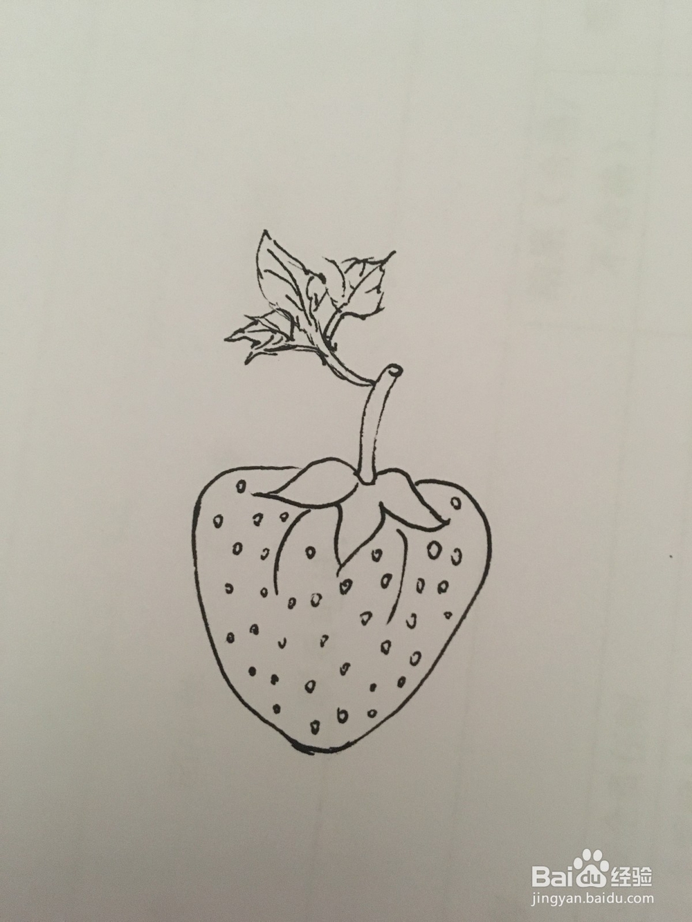 幼儿简笔画：草莓的画法