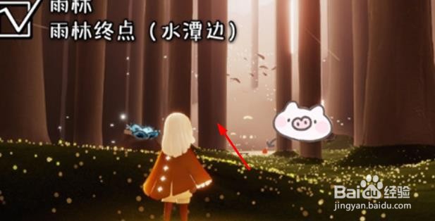 光遇1.16雨林大蜡烛位置攻略