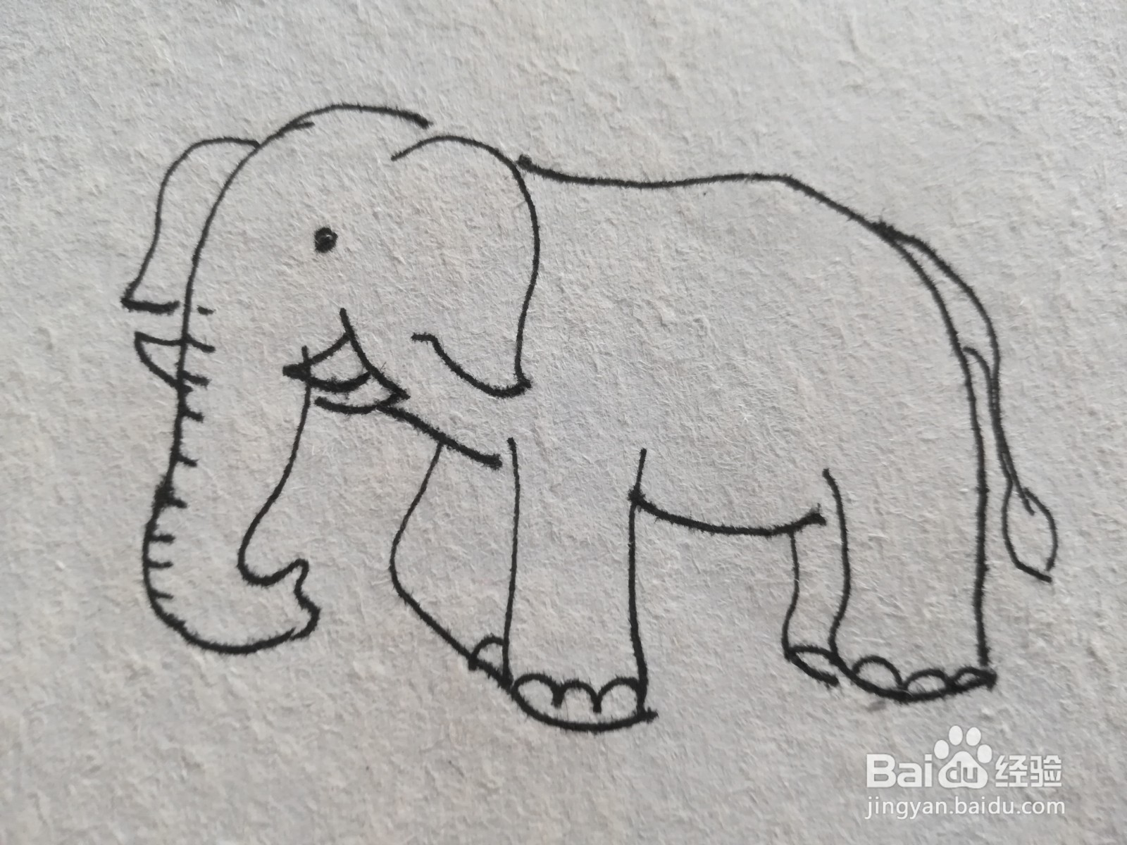 怎么画粉色卡通大象