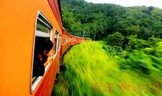 春节坐火车注意事项