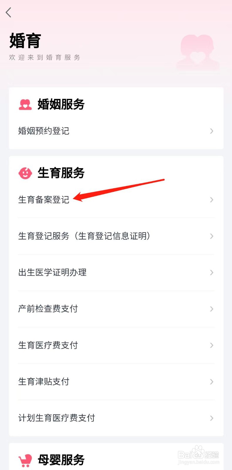 怎么办理生育备案登记