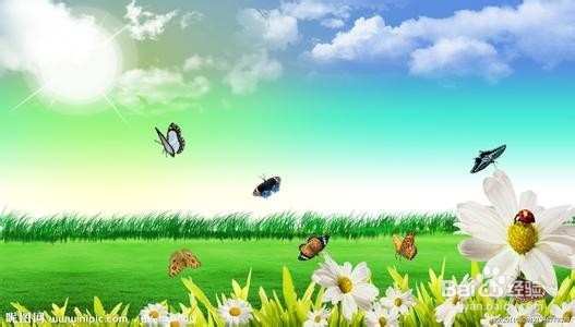 单身在什么时候 最想恋爱