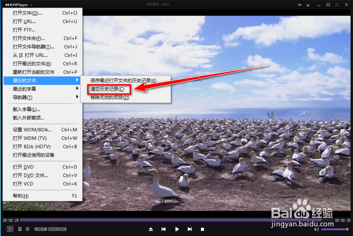 Kmplayer如何清除播放记录