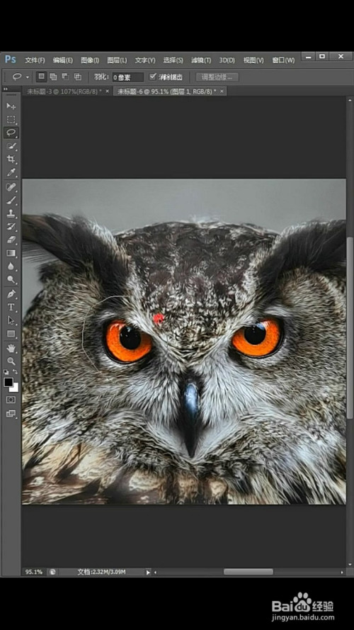 关于ps给照片移花接木