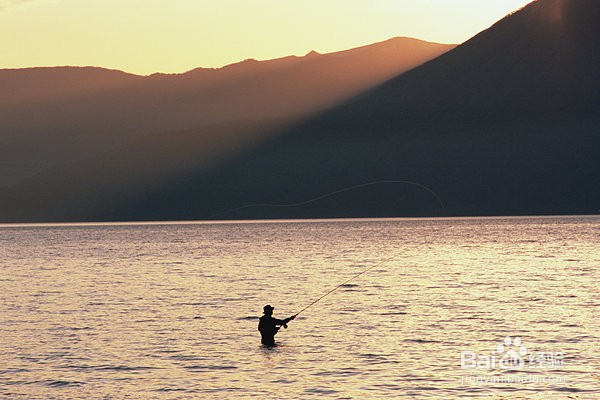如何选择一个好的钓位