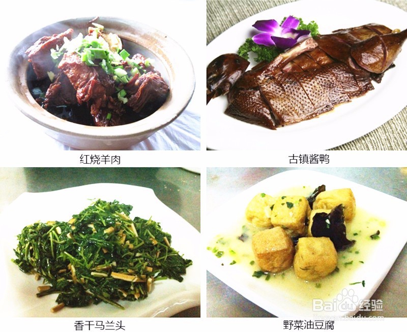 景色秀美的水乡乌镇