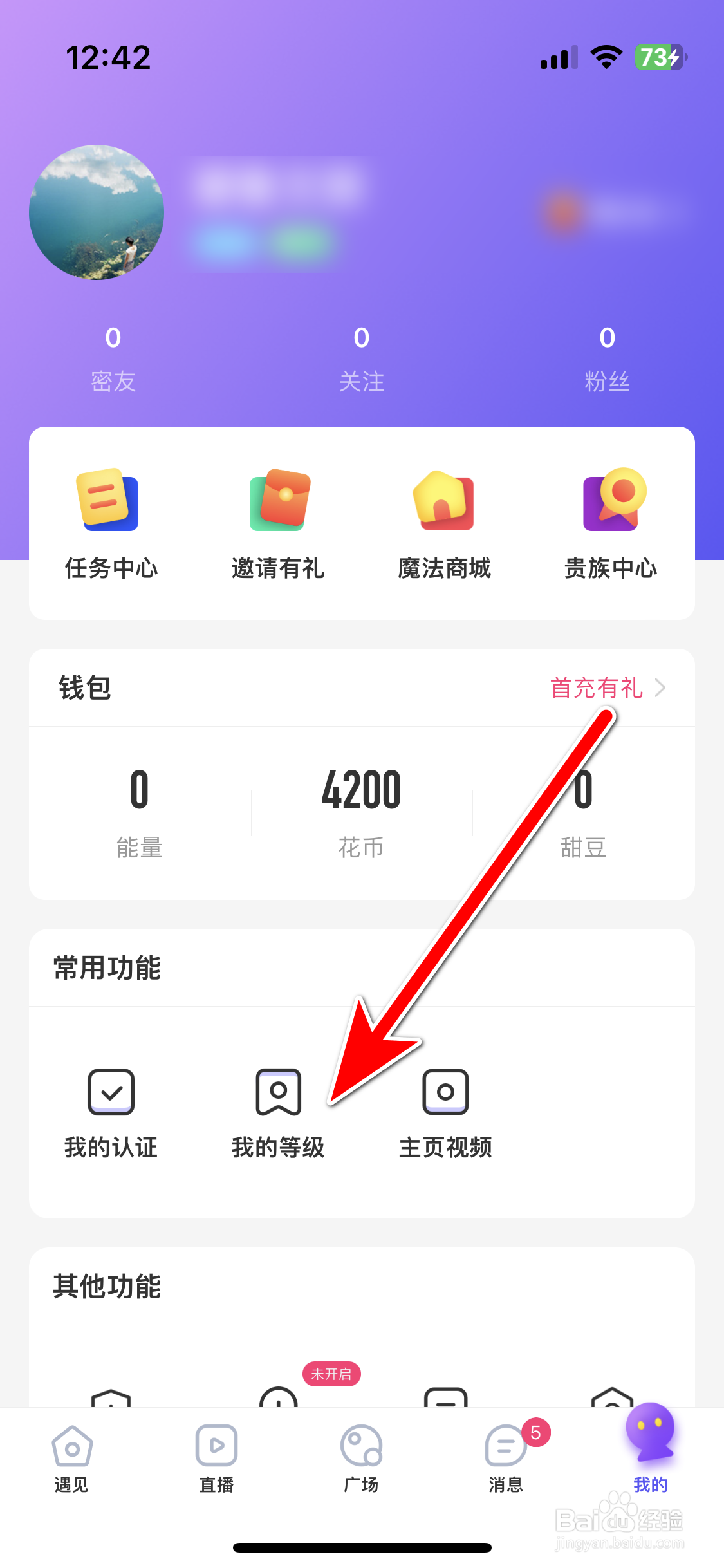 甜圈如何查询我的等级