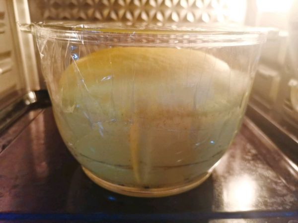 小熊馒头春游便当