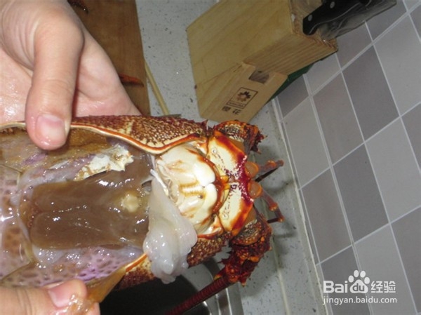 冷冻澳洲龙虾处理方法