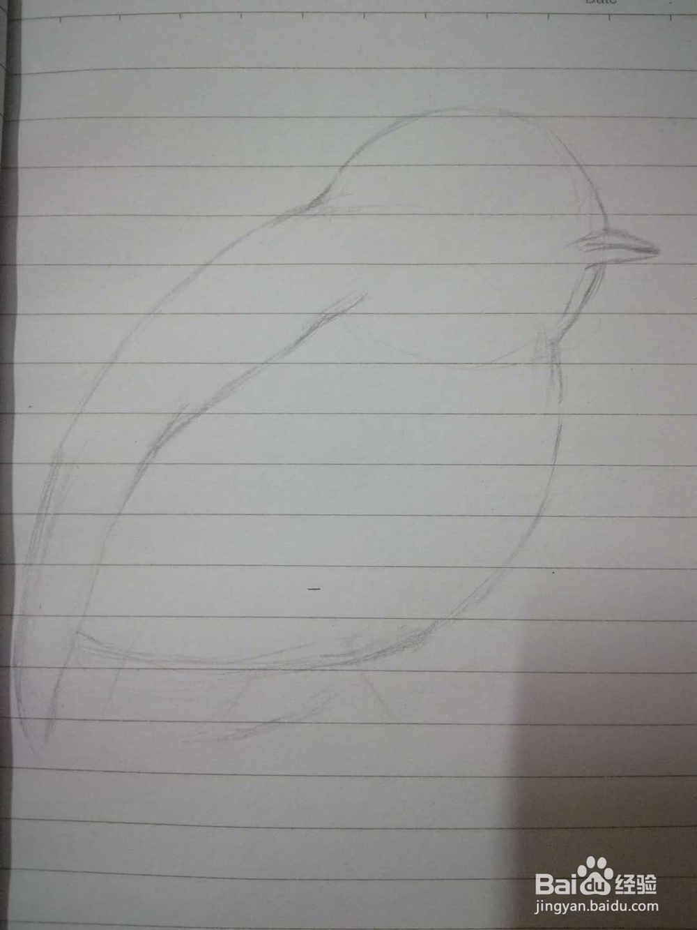 《小鸟思思》插画速写教程