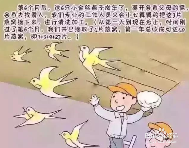 燕窝含有激素吗