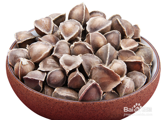 关于辣木籽的功效和作用是什么？