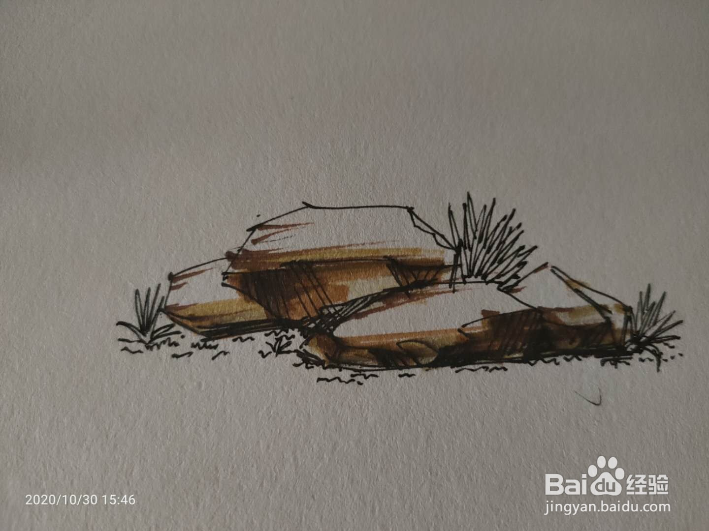 手绘中性笔绘植被