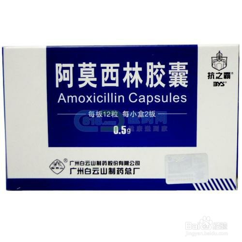 阿莫西林的妙用
