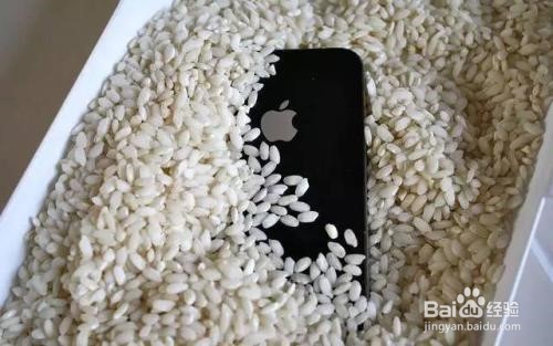 手机进水了怎么办