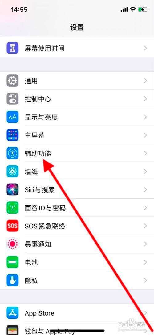 苹果11pro手机显示屏智能反转怎么开启