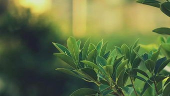 如何保护好眼睛，视力？