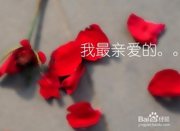 大声说出你的爱 2