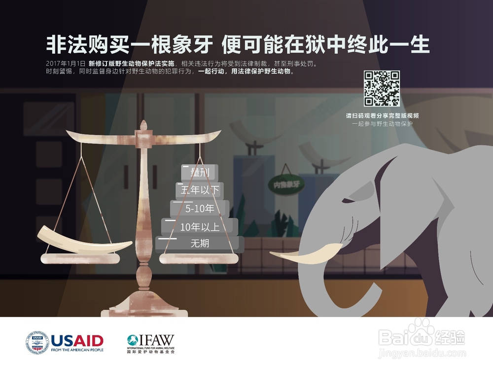 怎样正确保护野生动物