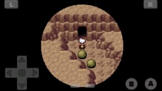 口袋妖怪漆黑的魅影攻略——如何抓火焰鸟