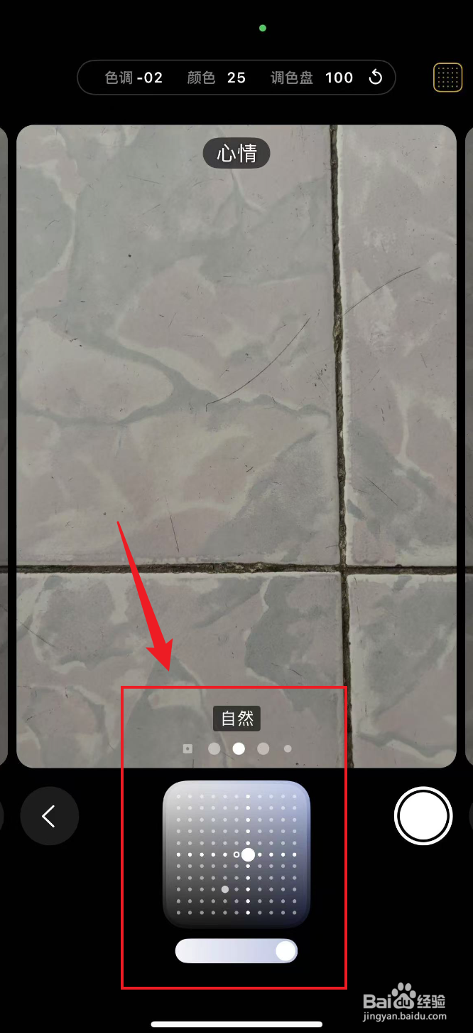 iPhone 16相机如何成自然摄影风格