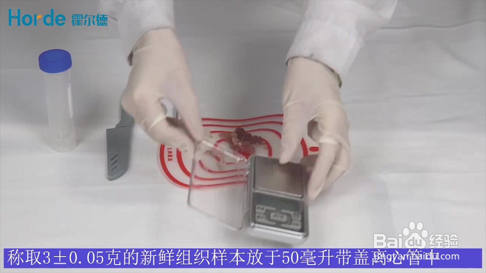 兽药残留检测仪操作视频