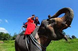 阳光沙滩海浪 完美新年海岛假期攻略