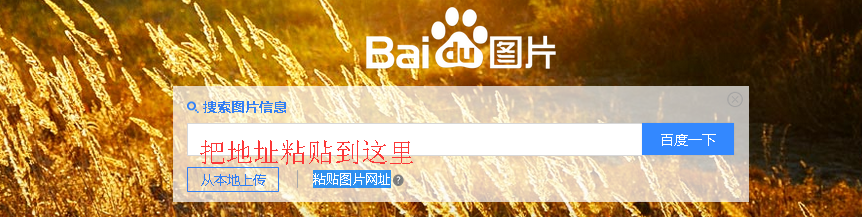 如何搜索图片,怎么找到相同的照片